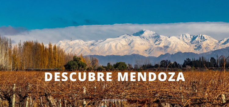 Que hacer en Mendoza