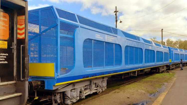 Transporte de autos tren Mar del Plata